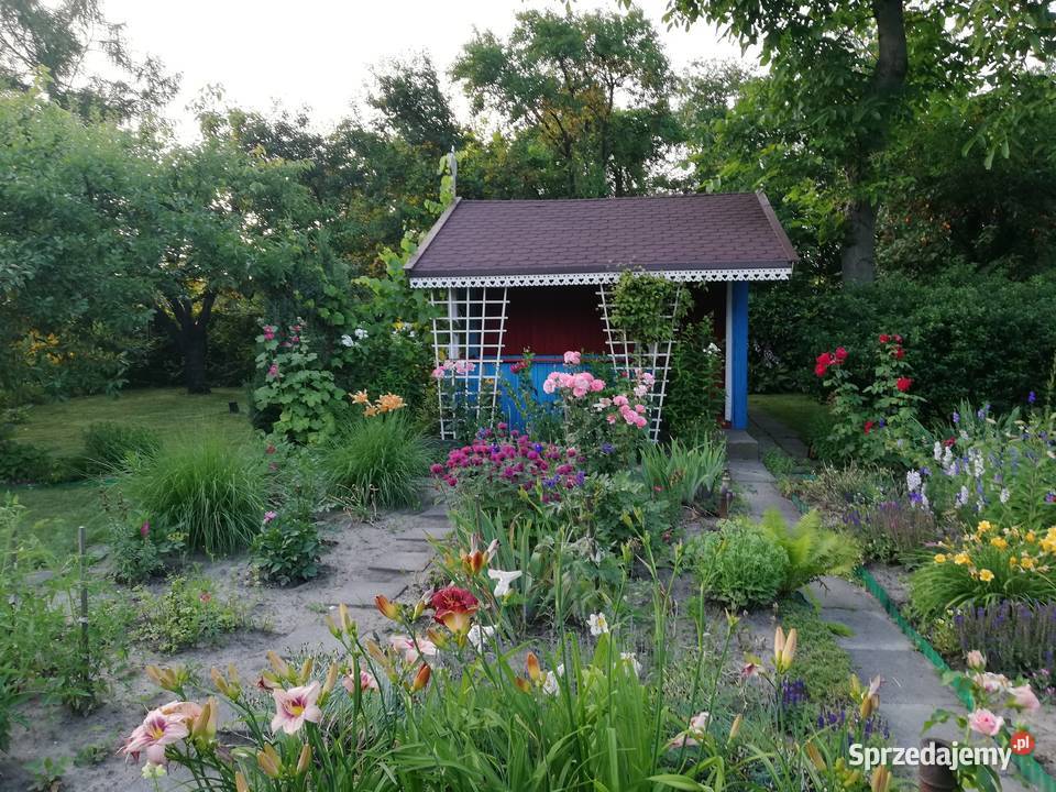Ogródek działkowy Warszawa Ochota