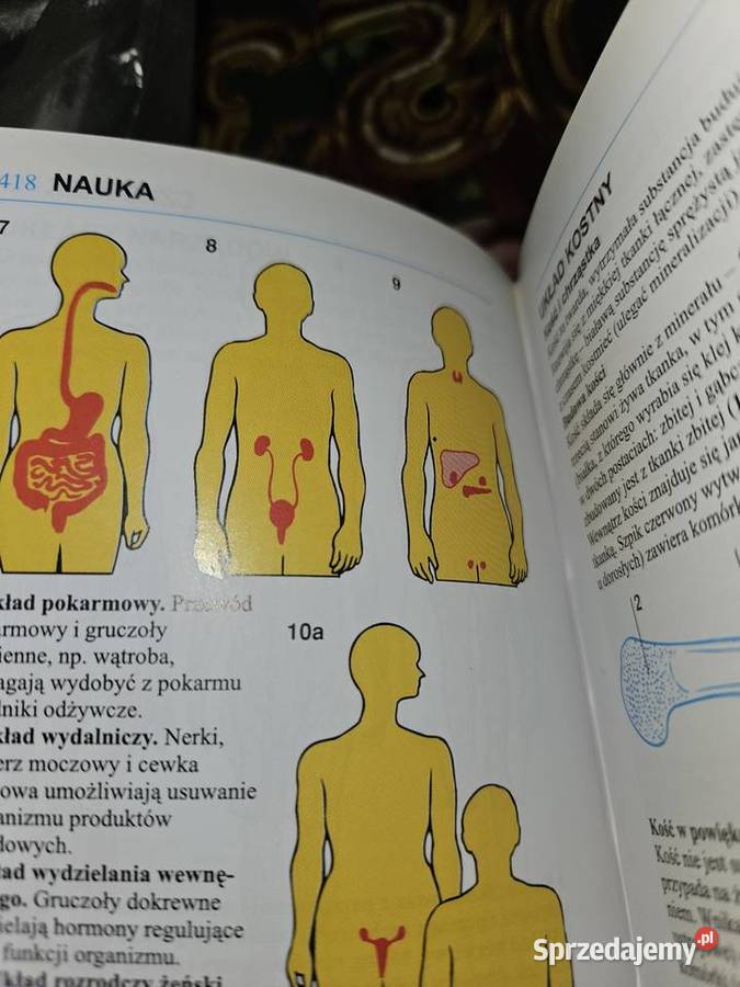 Mini encyklopedia podręczna Rok wydania 2020