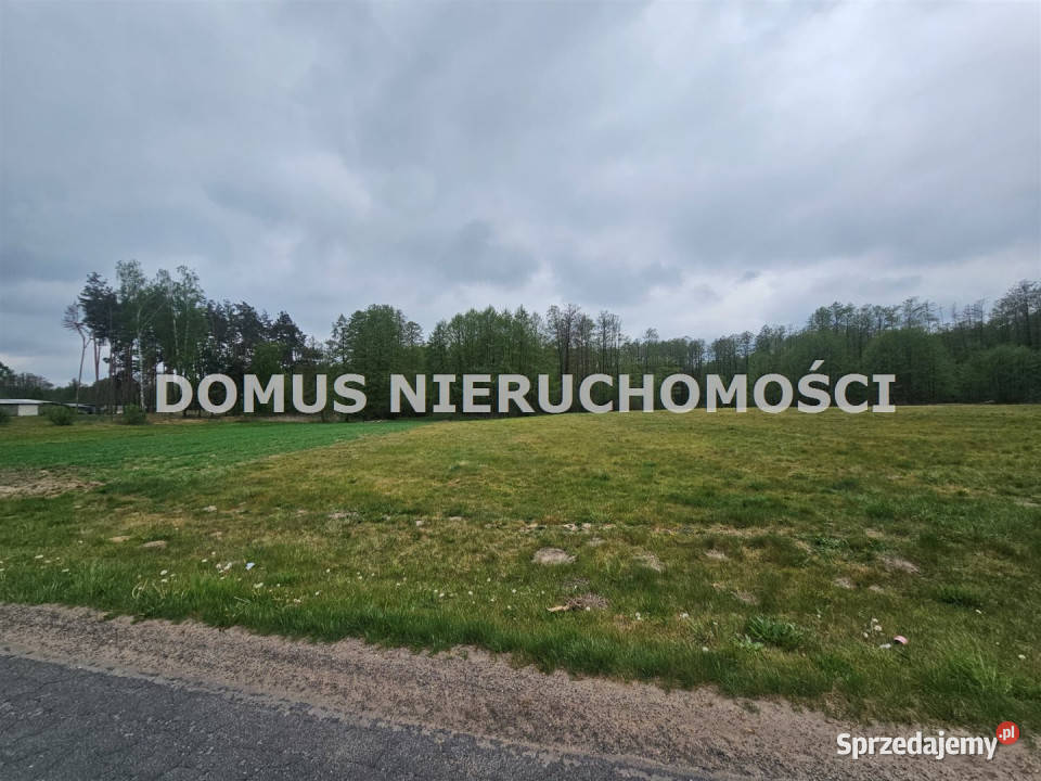 Do sprzedaży działka 4700m2 Chociszew woda