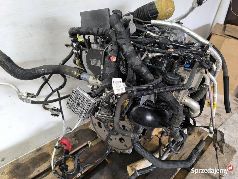 SILNIK KOMPLETNY OPEL ANTARA LIFT 22 CDTI 184 sprzedam