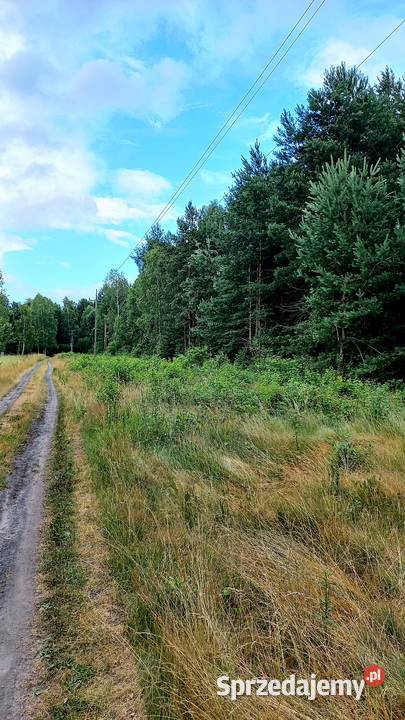 Działka budowlana Tumlin Osowa 2480m2 gmina