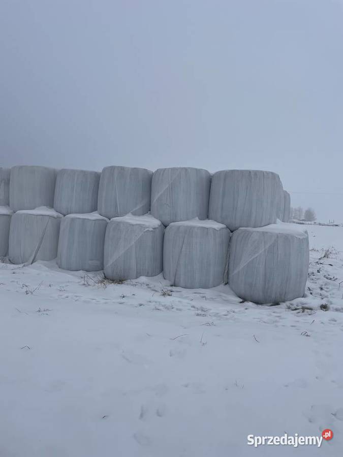 Bele sianokiszonki 3 Pokos Sterdyń