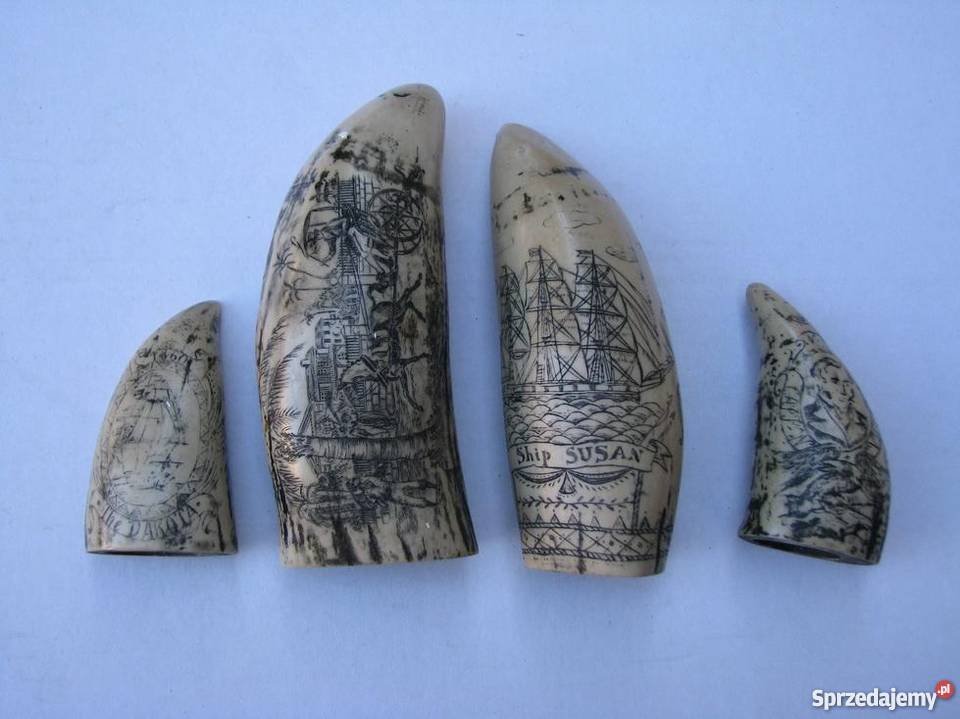 KŁY MORSA TROFEUM RZEŹBIONE 4 sprzedam