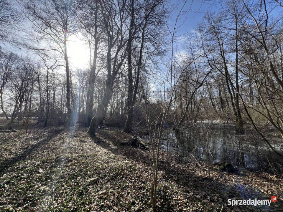 Na sprzedaż Zabytkowy Pałac z dużą działką Skórzyno