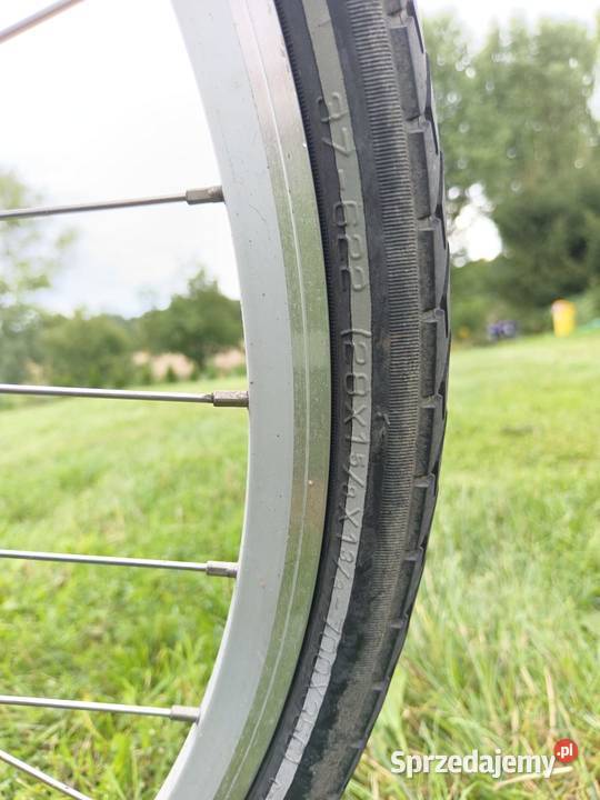 rower elektryczny na baterie Chojnów