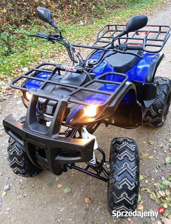 Quad 250 4 WSTECZNY Rok produkcji 2017 Pozostałe sprzedam