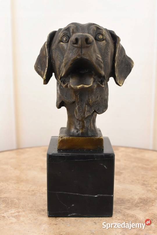 Głowa Pysk Psa Labrador Golden Retriever Figura Pozostałe