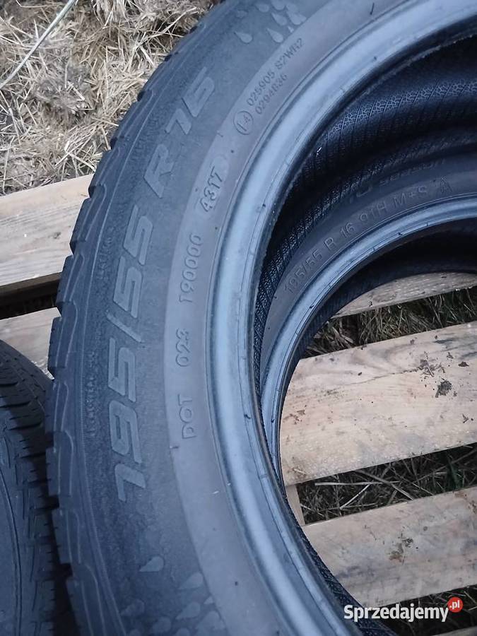 Opony letnie 1955516 Apollo Skierniewice