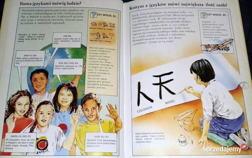 Człowiek i otoczenie Świat bez tajemnic Jackie Chełm