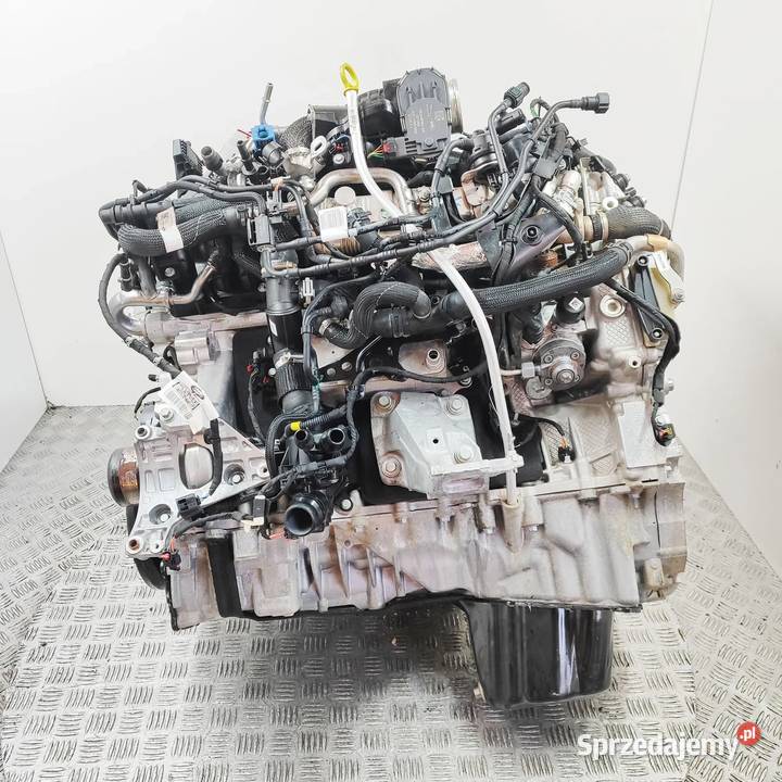 Silnik Land Rover Discovery V L462 30 MHEV 2020 śląskie Katowice