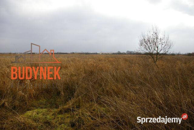 Działka rolna Darłowo