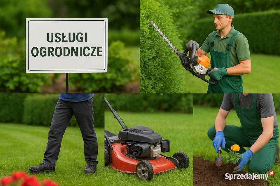 Przygotowanie ogrodu do sezonu do zimy na wiosnę Wrocław