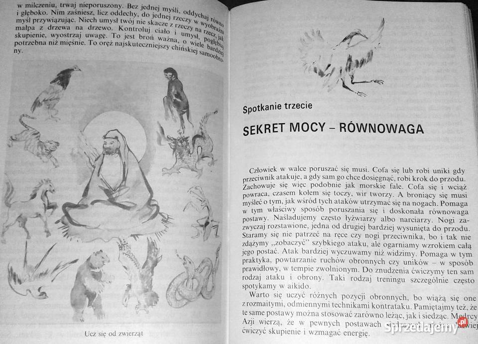 Moc Erniego Stanisław Tokarski Chełm sprzedam