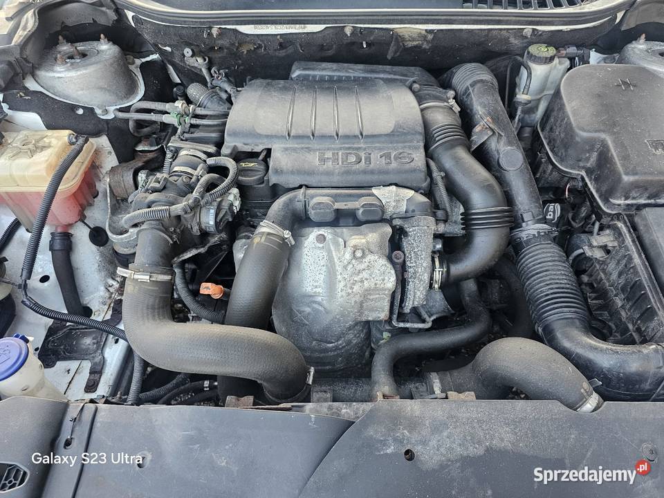 C5 Lift Bezwypadkowy 195