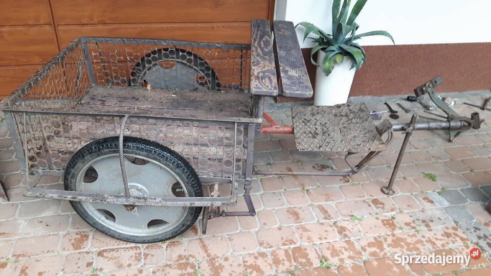 glebogryzarka Fortschritt traktorek dzik ciągnik Garwolin