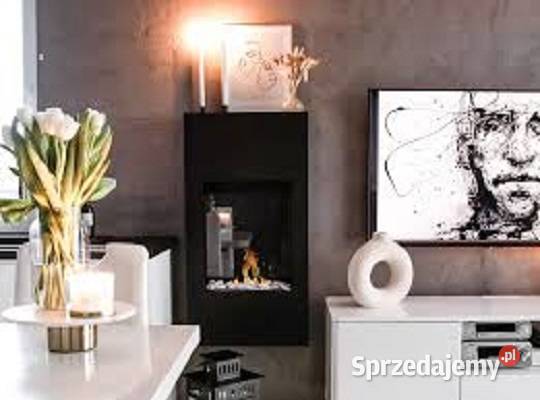 Biokominek portalowy Modern z szybą BIOKOMINEK mazowieckie
