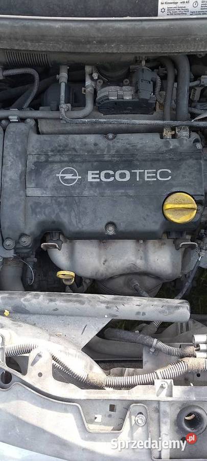 Fajna corsa 12 98000 Wrząca Śląska