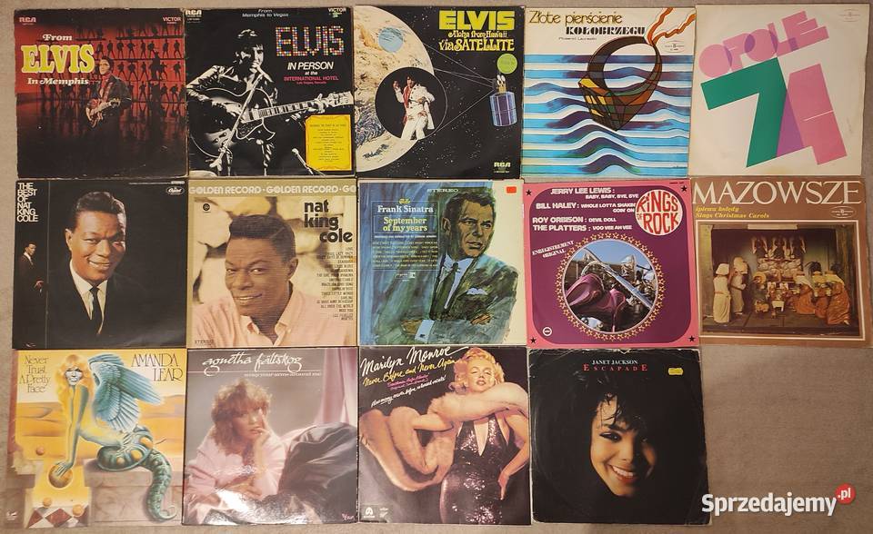 Płyty winylowe 73 sztuki w stanie bez klasyki mazowieckie Warszawa