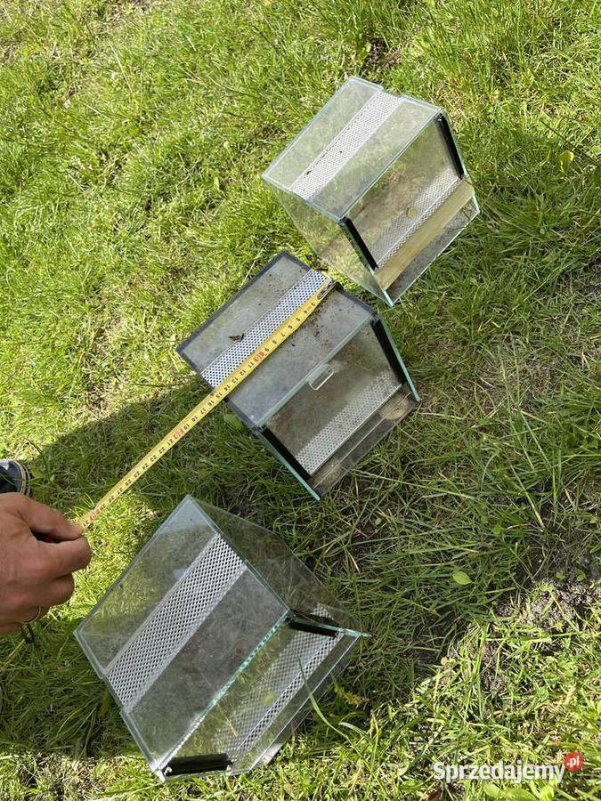 3x Terrarium kostka 15x15x15 gilotyna mini Terrarystyka zachodniopomorskie Nowogard sprzedam