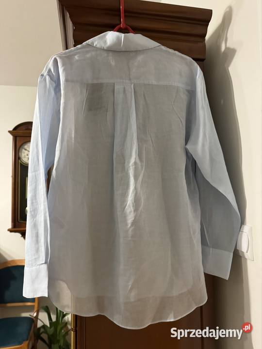 Bluzka damska XS błękitna Massimo Dutti bawełna sprzedam