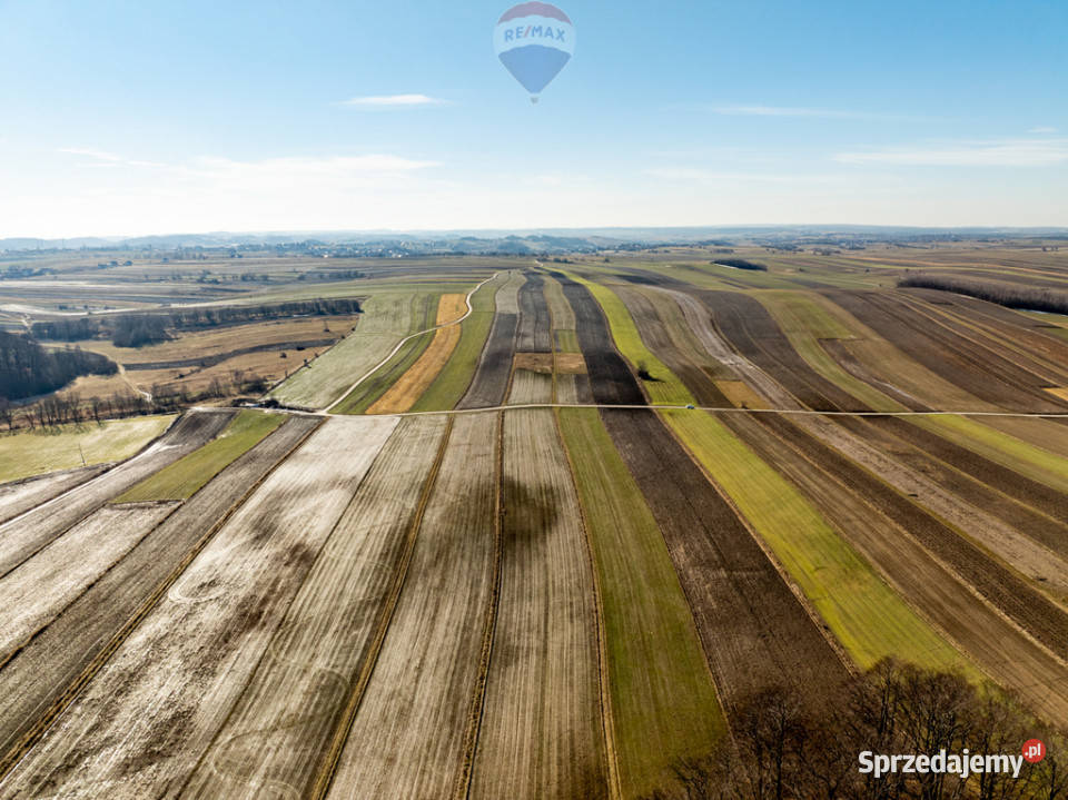 Działki rolne w pięknej okolicy rolna Sułoszowa