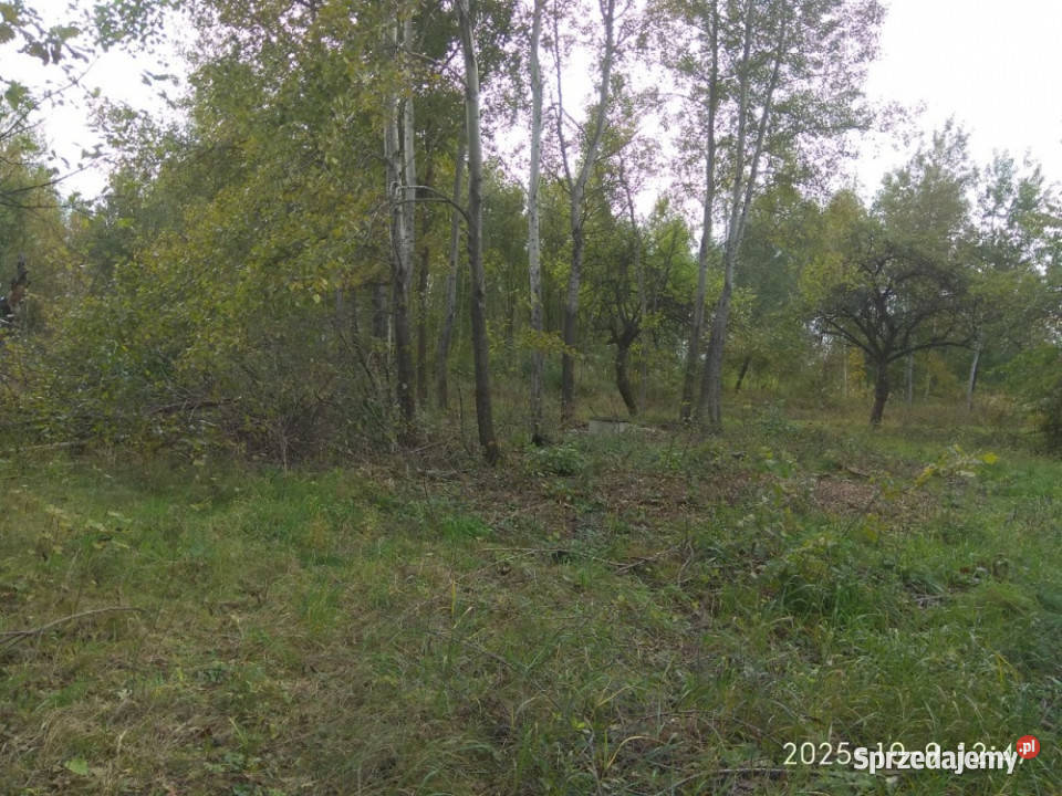 Działka budowlana inwestycyjna 31a malowniczy Lipinki