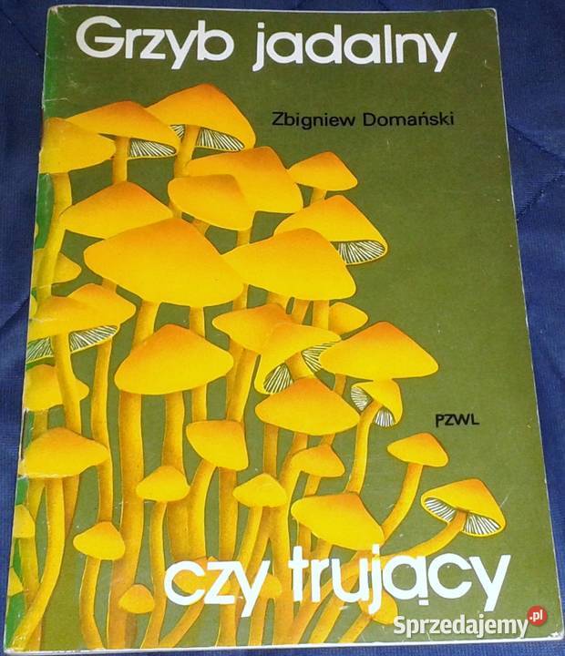Grzyb jadalny czy trujący Zbigniew Domański Chełm sprzedam