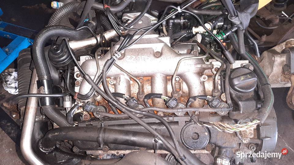 silnik kompletny 22 JTD HDI Fiat ulysse 232 4HW Korzeńsko