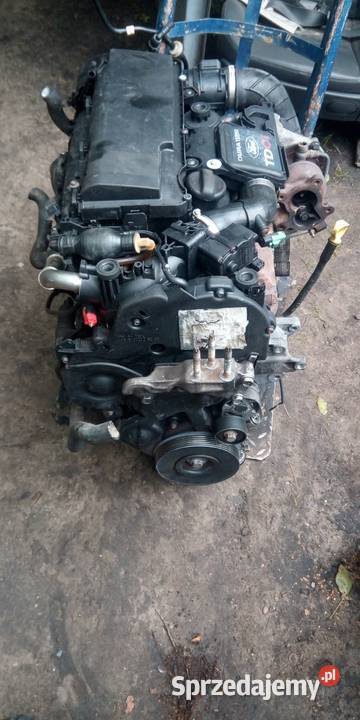 Silnik diesel 14tdci CITROEN PEUGEOT FORD Margonin sprzedam