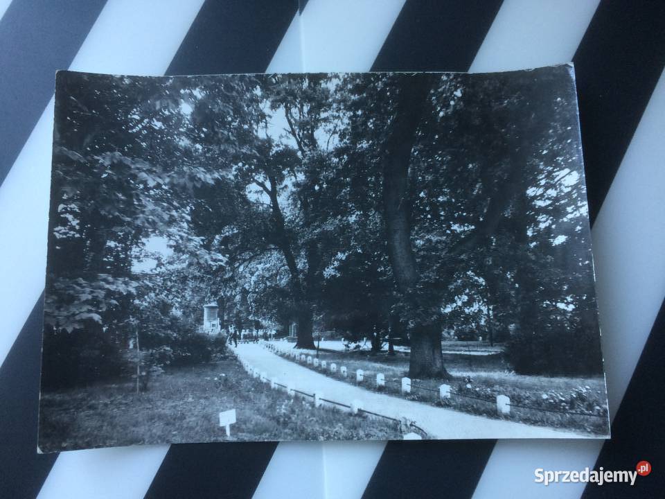 1073 Widokówka Kamień Pomorski Szczecin