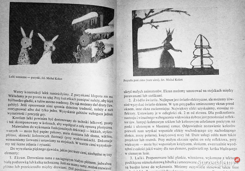 Inscenizacje w klasach początkowych Janina Pozostałe Chełm sprzedam