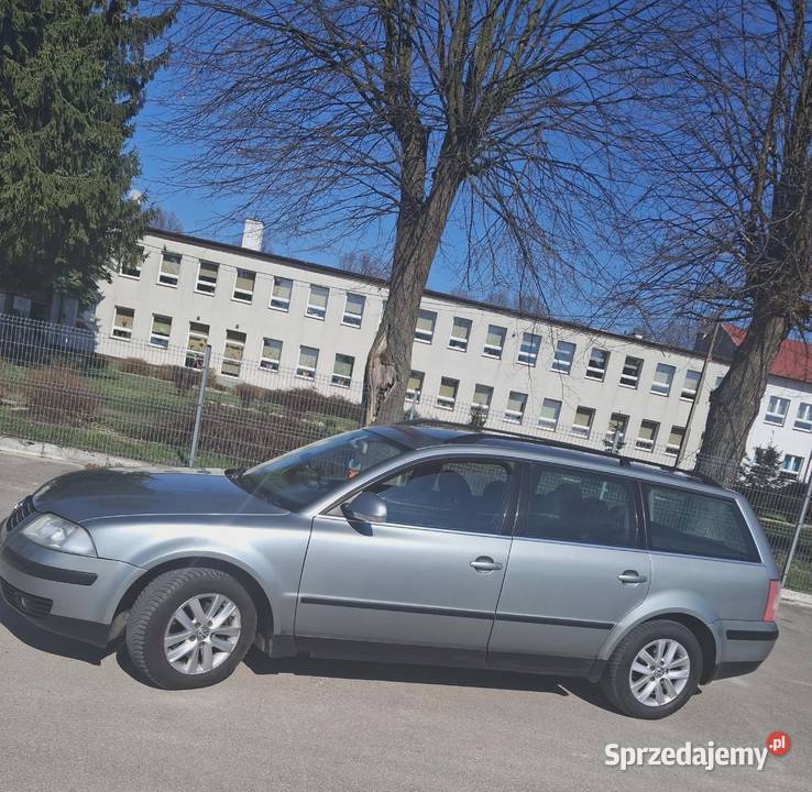 Passat b5 20TDI Bidziny