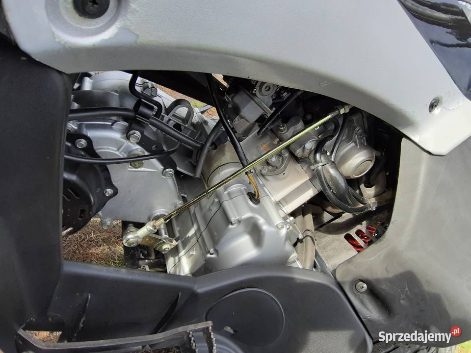 Sym Quadlander E ton Vector Daelim Tgb Blade Can nieuszkodzony Chodel sprzedam