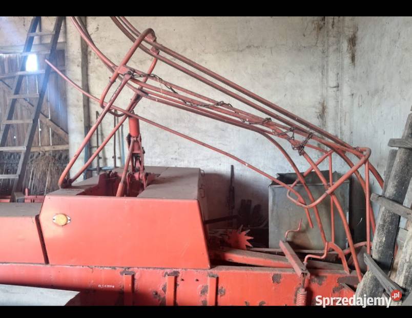 Prasa kostkującą Kostkujące łódzkie Witonia