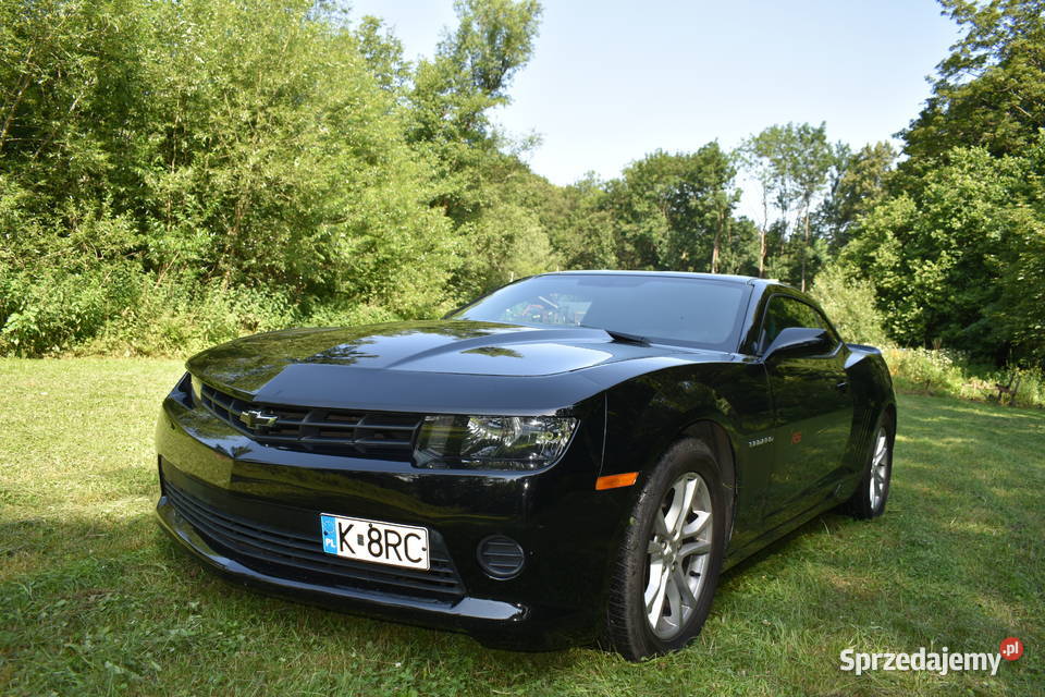 Chevrolet Camaro Rok produkcji 2015 Leszczyna sprzedam