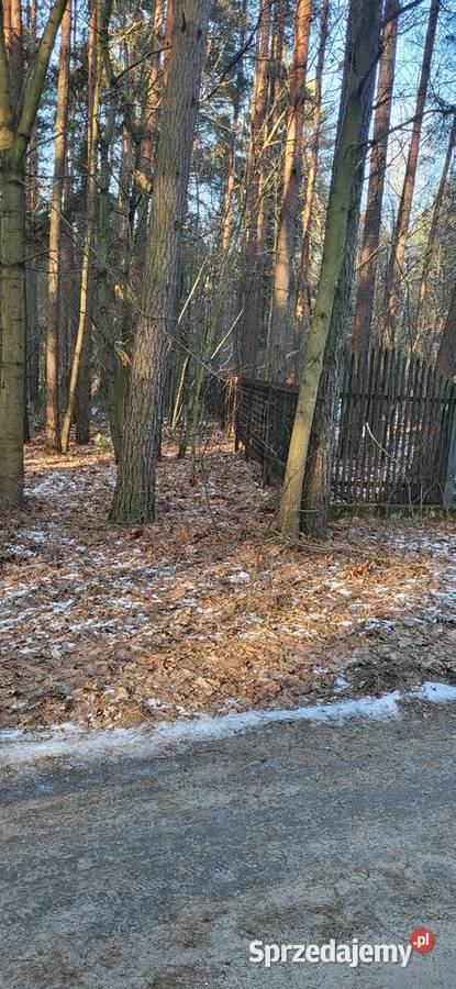 ŻarkiLetnisko Wiejska działka 4225 m2 Żarki-Letnisko