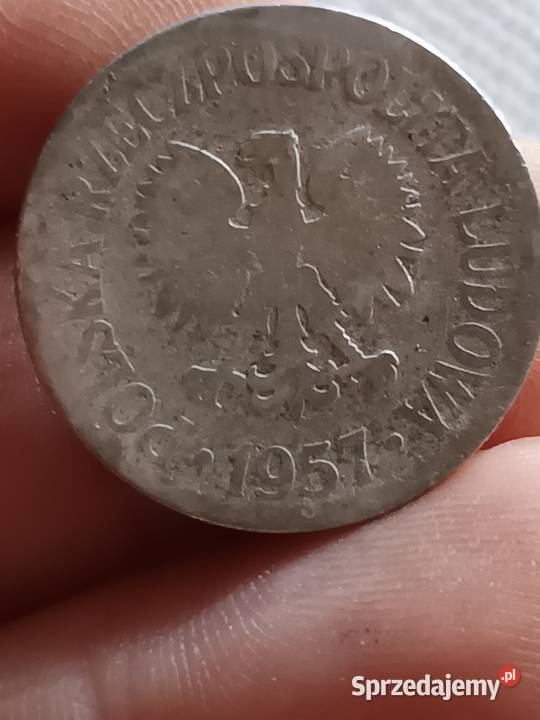 Sprzedam monete 50 groszy 1957 zniszczona Numizmatyka Chełm