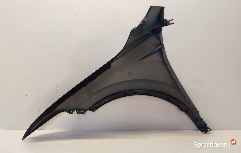 VW TIGUAN II BŁOTNIK PRAWY PRZÓD 2023 LP5J