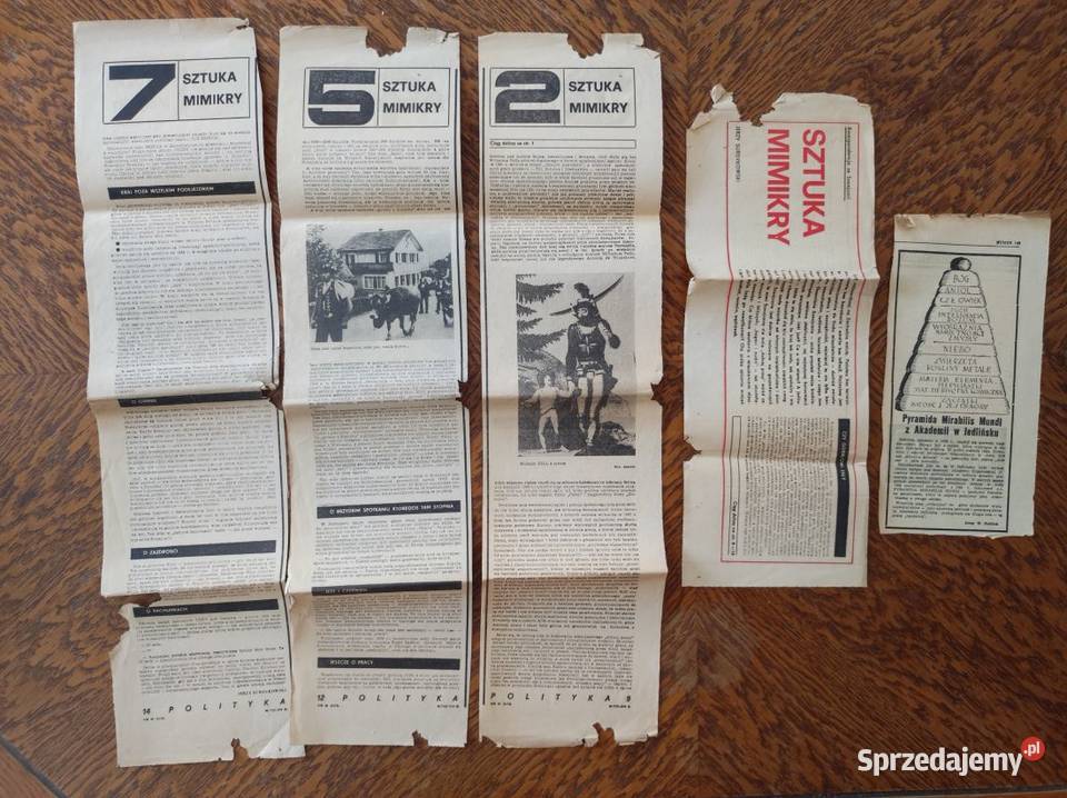 gazeta polityka 1979 artykuły jerzy surdykowski Pozostałe Kielce