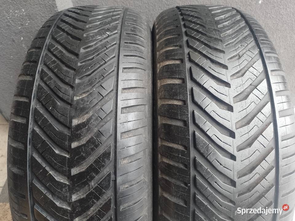 Wielosezonowe Kormoran 16 całoroczne Piła