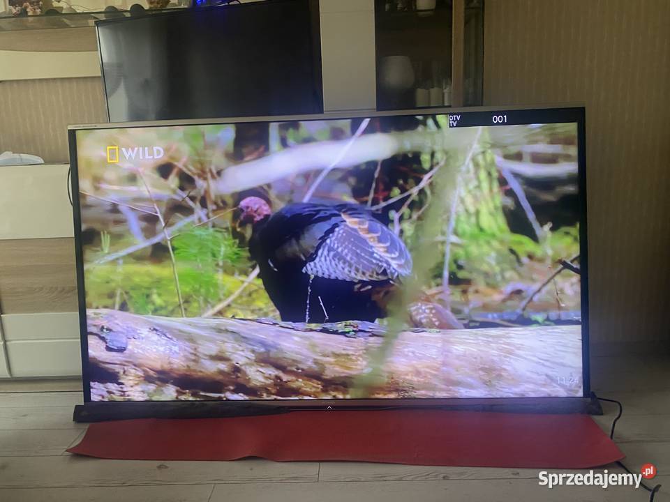 Telewizor sharp 3D 80 potężny Elektronika kujawsko-pomorskie Grudziądz