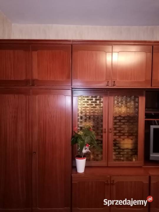 SEMGENT HEJNAŁ Kraków