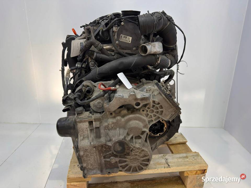 SILNIK CAY CAYC VW Beetle Jetta III Audi A1 8X Silniki kompletne Chełm