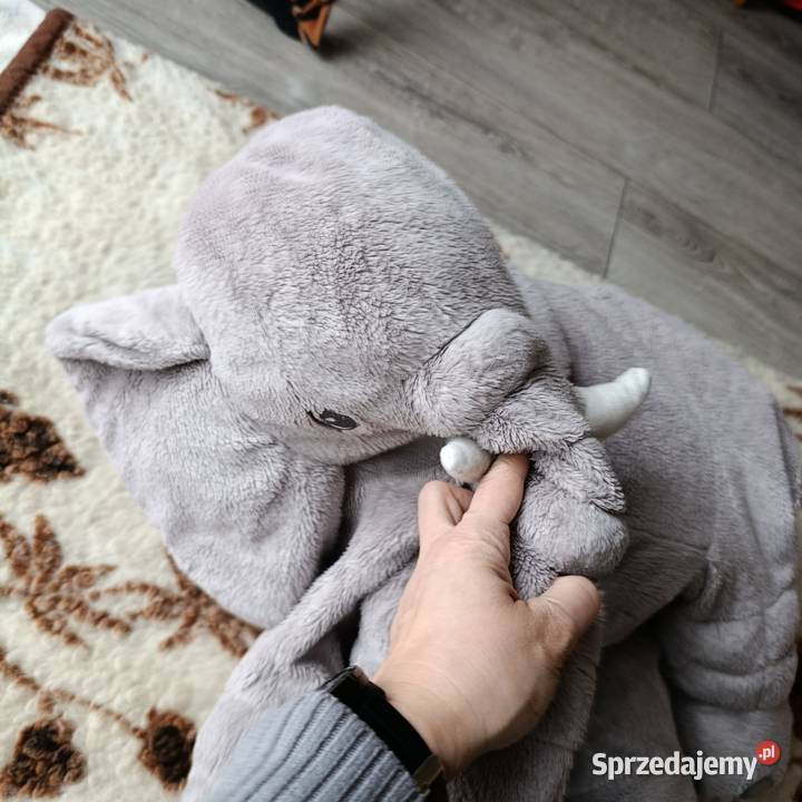 miś maskotka pluszak słoń wielkopolskie Poznań