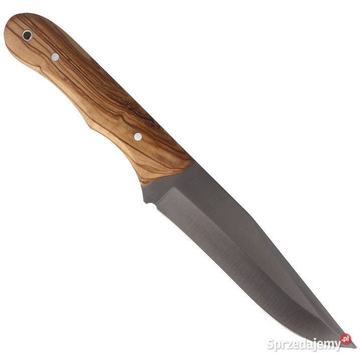 Nóż Muela Full Tang Olive Wood Satin X50CrMoV15