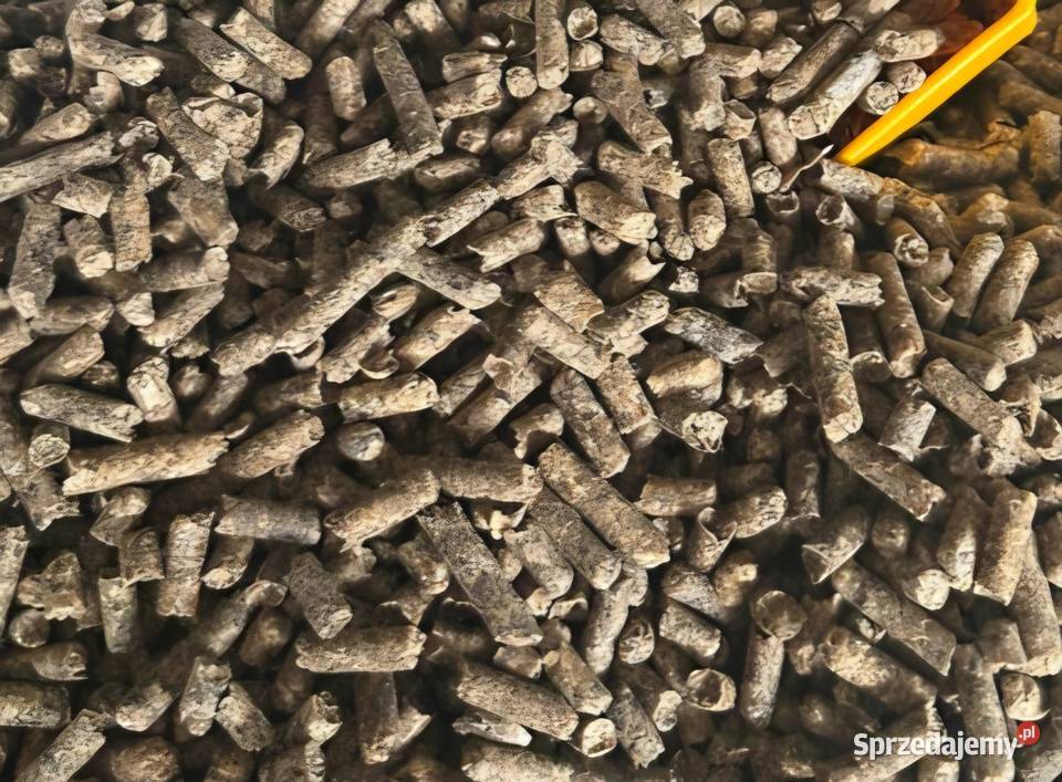 Wysłodki buraczane suche melasowane Gorzków-Wieś