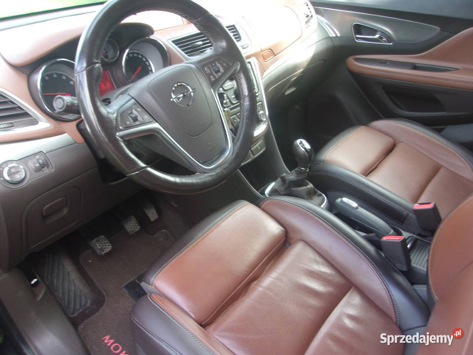 Piękna Mokka Radom sprzedam