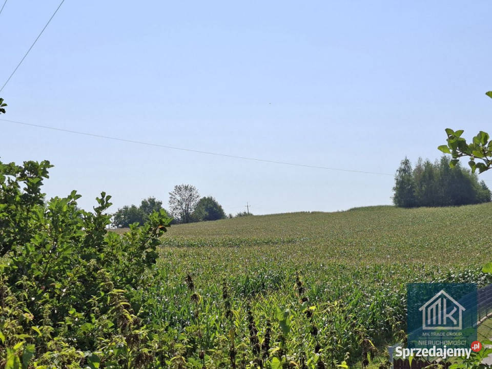 sprzedaży gruntu Bodzanów 8100m2 małopolskie