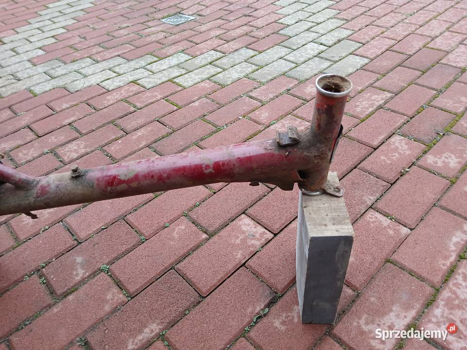 Żak rama