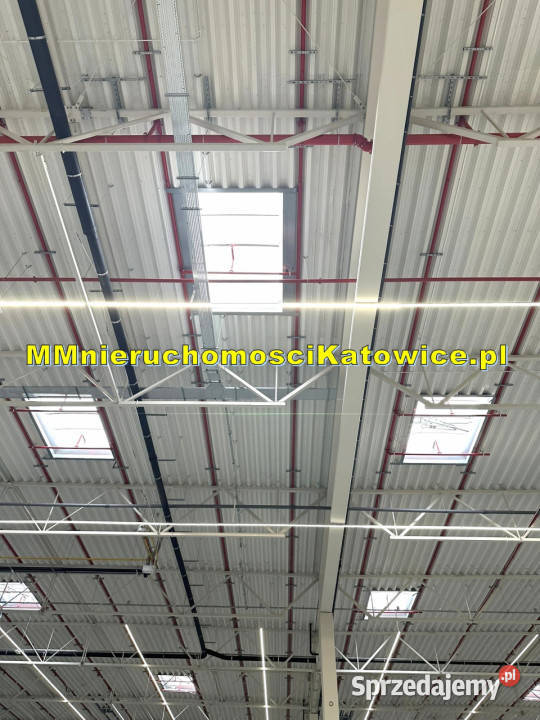 Centrum dystrybucyjne magazyny do wynajęcia